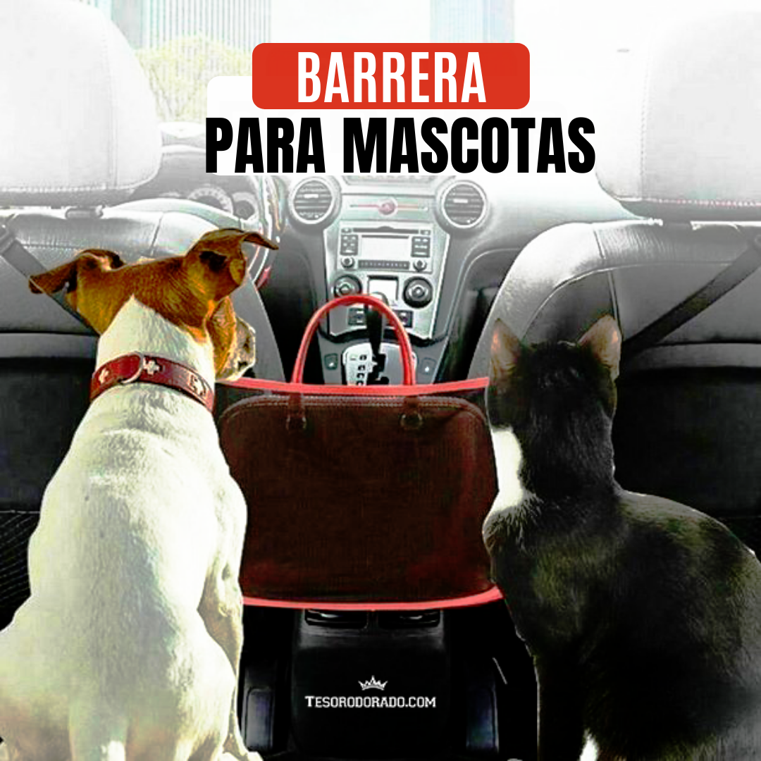 Soporte Organizador de autos premium